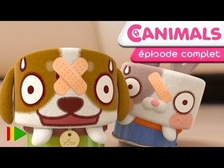 Canimals - 11 - Cascadeurs de l'extrême