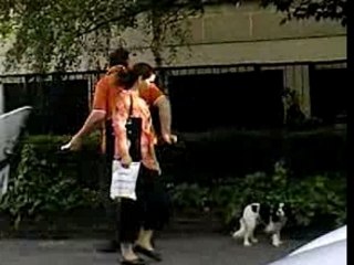 Maitre chien degeulasse