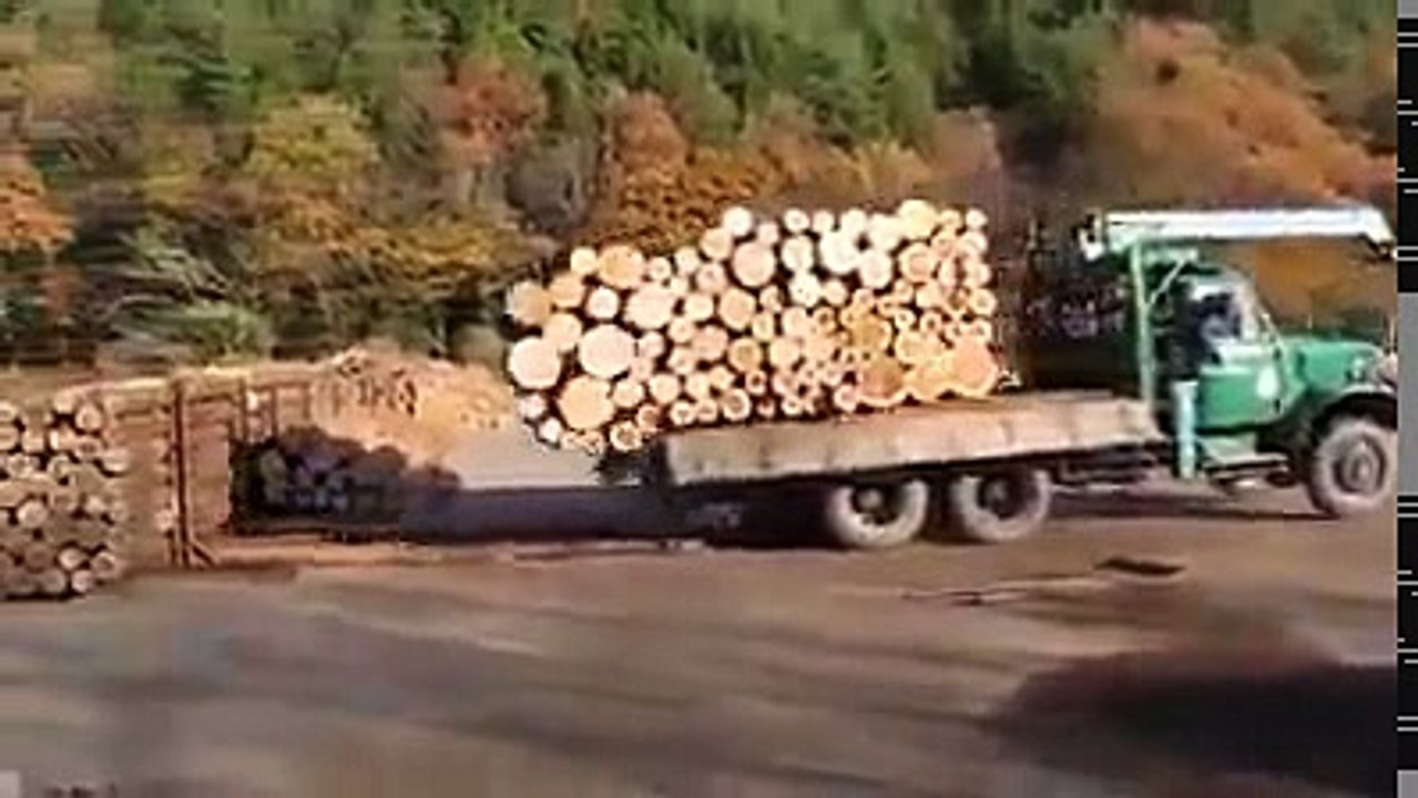 Akıllı Adamın Hali Bir Başka Oluyor