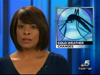 How to Protect Yourself From West Nile Virus: Mosquito Prevention in Dallas, TX