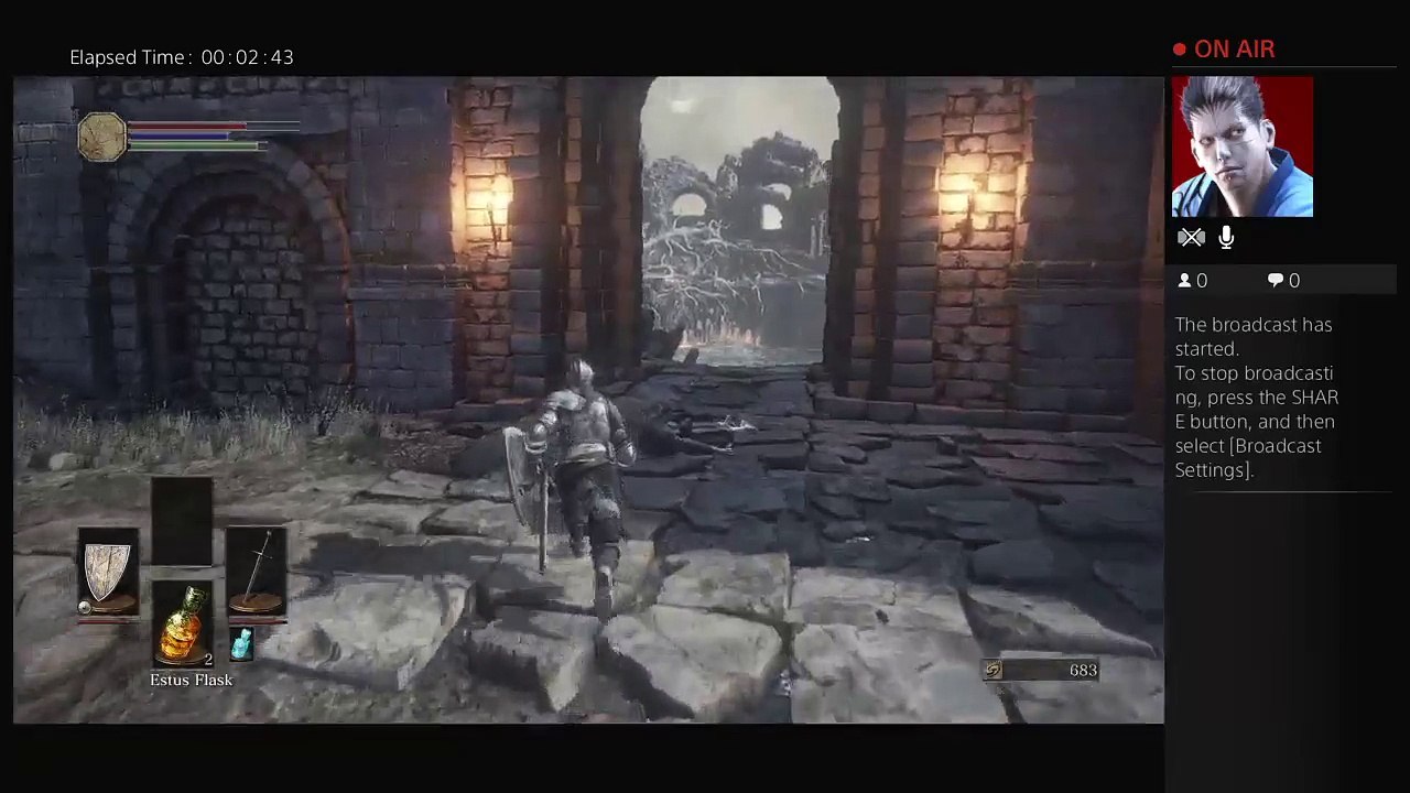 Dark Souls 3 (2)