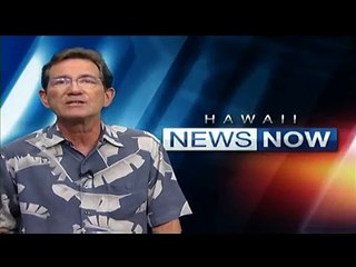 Terry Hunter reviews "An Education" and "Pirate Radio"