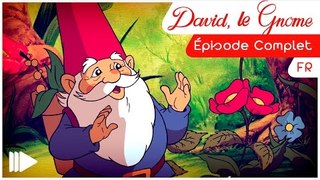 David le Gnome - 09 - Le étang au bois