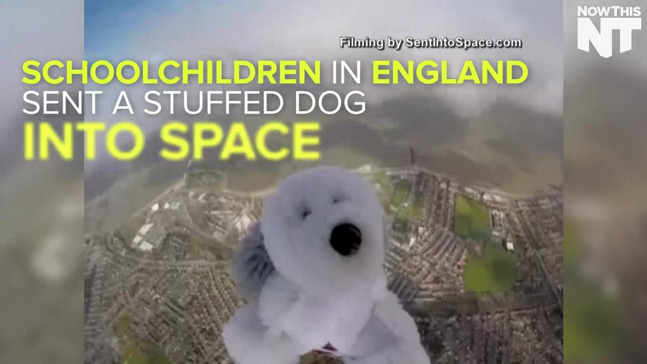 Students Send Stuffed Dog Into Space