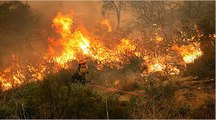 California fire wildfires state of emergency