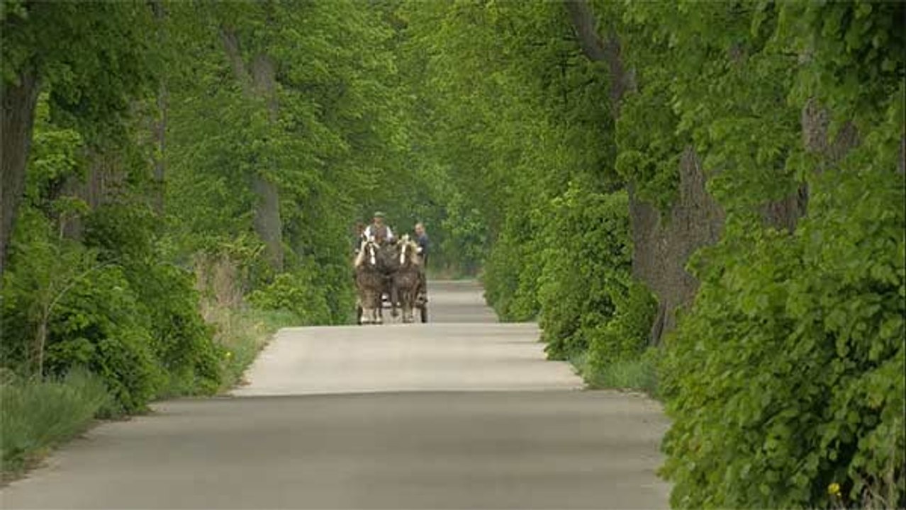 Polen – Reiterurlaub auf Gut Galiny