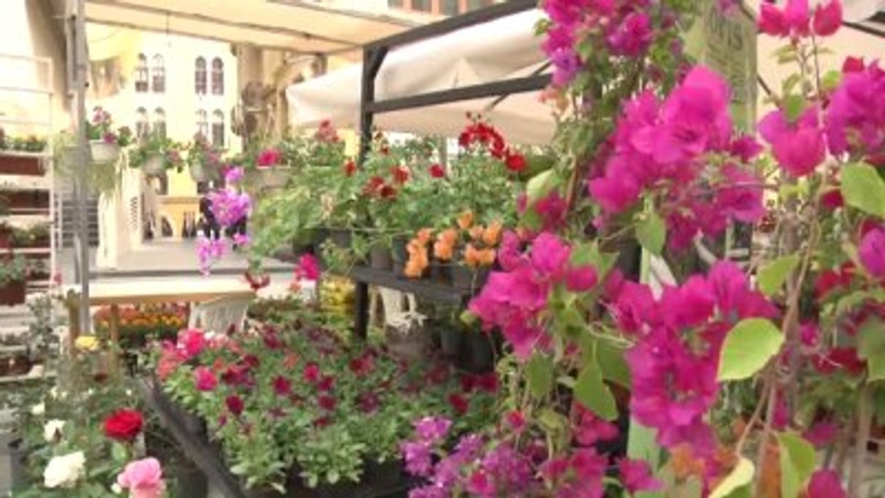 Lübnan Çiçek Pazarı" Açıldı