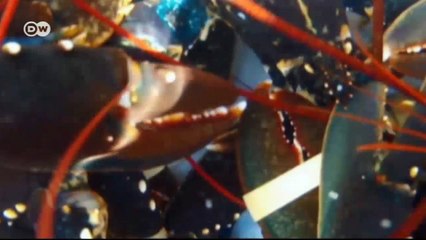 Su viaje: Saint-Malo, Francia | Euromaxx