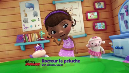 Docteur la Peluche - Chanson : On le répare tout de suite