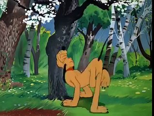 Pluto   Springtime For Pluto