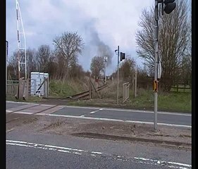 Steam. Ivor the Engine @ Wallingford level crossing. April 2015.