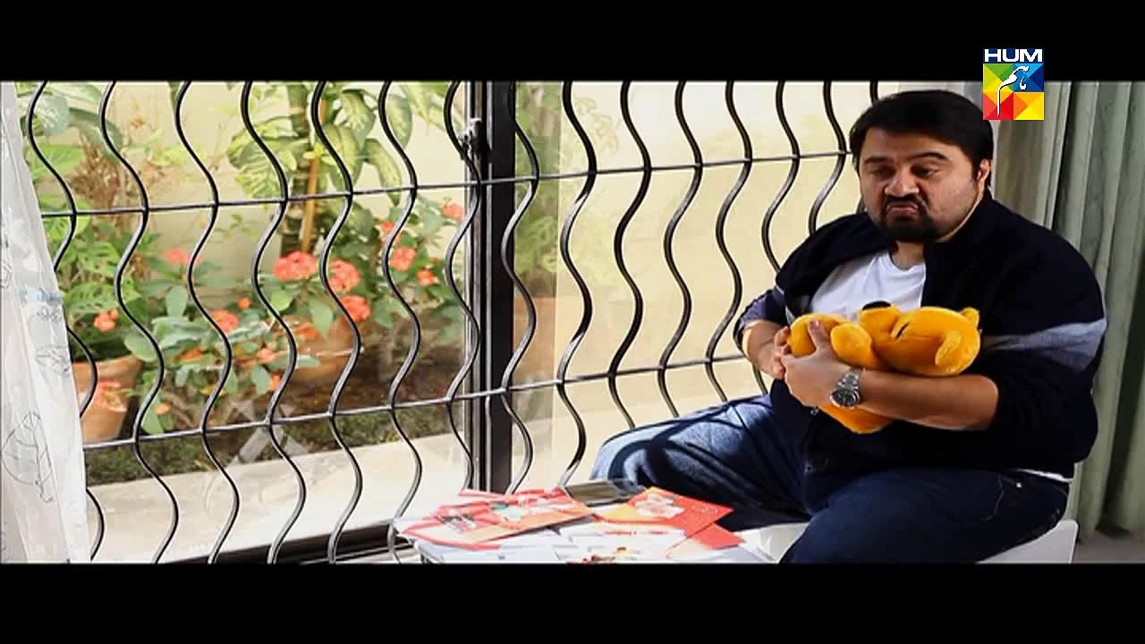 Mr Shamim Episode 07 Full HUM TV Drama