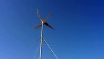 Pallas Wind Max. 700W Rüzgar Türbini - Pallas Enerji