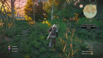 WITCHER 3 DEATH MARCH! WALKTHROUGH 58 - FAMILY MATTERS
