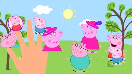 Peppa pig Finger Family ♥ Nursery Rhymes Lyrics (Song for children)