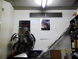 昼夜兼用自動センサービデオカメラ「CN-90Q2」のサンプル動画