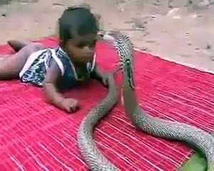 Snake Biting Baby in the head and face OMG