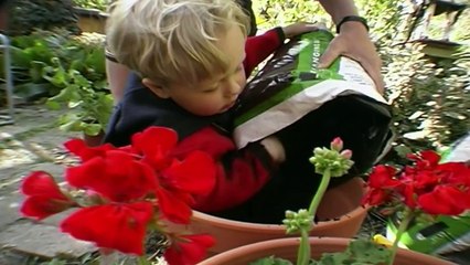 Teletubbies: Neds Geraniums - Full Episode