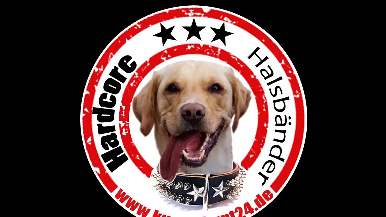 Hardcore Halsbänder | Hundehalsband Sharp Sting Mini