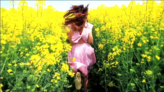 Serdar Ortaç - Dedin Yok