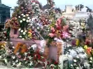 Descansa en Paz: Siria Sarai