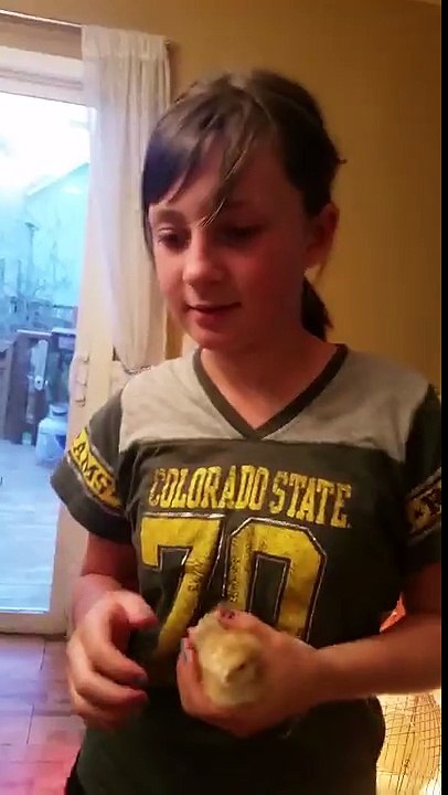 Chubbs doing the chicken dance