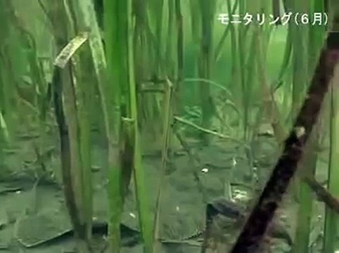 モニタリング0405/0608