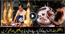 Shocking: How Pakistanis are Eating Dog And Donkey’s Meat.