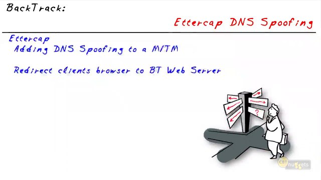 DNS Spoofing