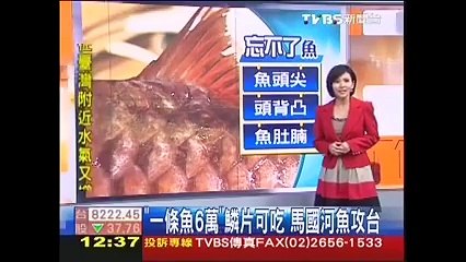 The most expensive fish in the world US $2000 - 400 grams