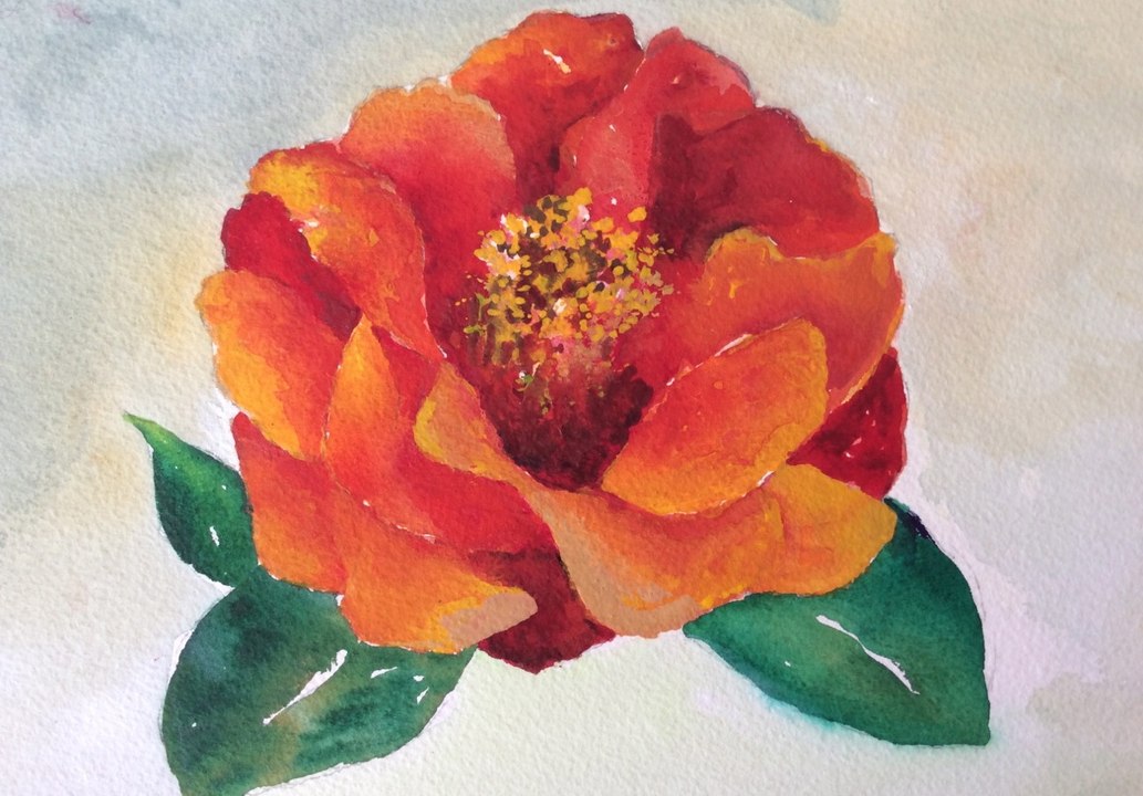 How to paint a red Camellia with watercolor, a fast and easy tutorial