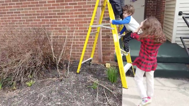 Des enfants aident leur papa à sauver la vie d'un oiseau