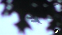UFO Caught On Video Overtaking Virgin Atlantic Plane  Leaving JFK Airport NY ORIGINAL SOURCE 2015 HD