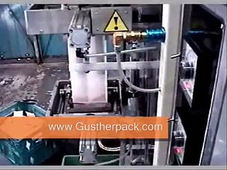 EMBOLSADORA EMPAQUETADORA (3)