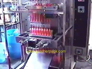 EMBOLSADORA EMPAQUETADORA (5)