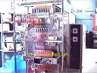 EMBOLSADORA EMPAQUETADORA (7)