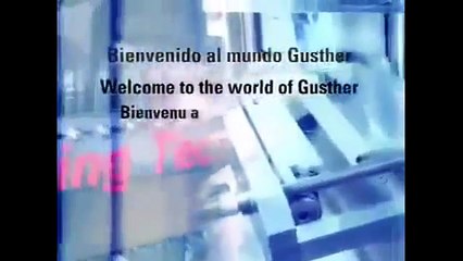 EMBOLSADORA EMPAQUETADORA (8)