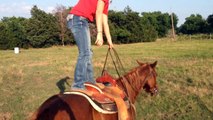 AQHA mare for sale