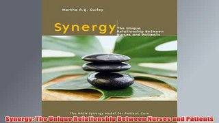 Free   Synergy The Unique Relationship Between Nurses and Patients Read Download