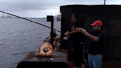 Al Jaber Fish Master