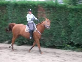 Saut d'obstacle COUR 1