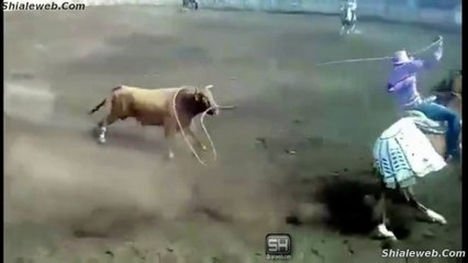 JARIPEO RANCHERO A CABALLO Y LAZO ENFRENTANDO A LOS TOROS MAS SALVAJES DE LA GANADERIA LOCAL EN MEXICO ABRIL 2016