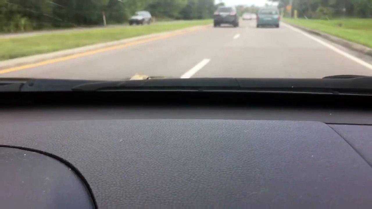 Frog on Car Hood