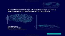 Download Evolutionary Anatomy of the Primate Cerebral Cortex