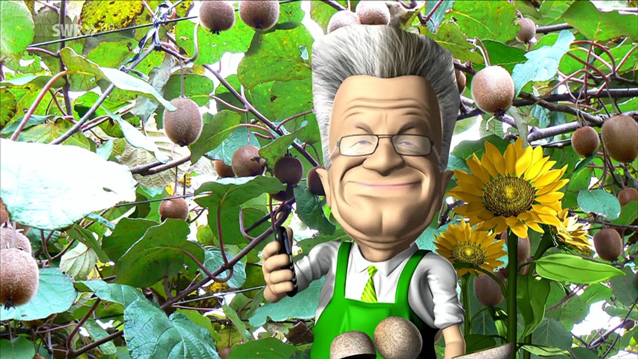 Zur Sache Baden-Württemberg!-Saure Kiwi