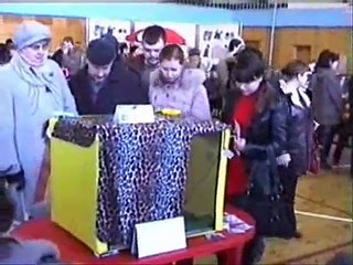 Бенгальский котенок