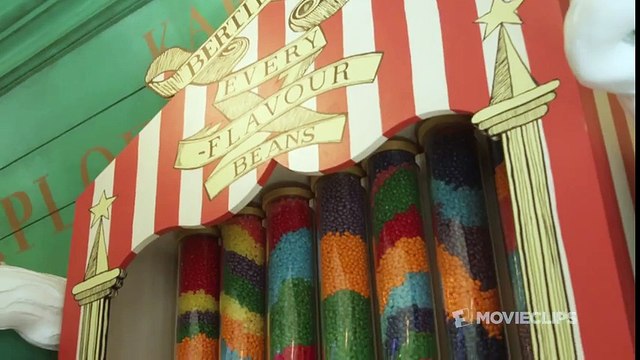 Wizarding World of Harry Potter at Universal Studios Hollywood Park Visit HD (2016) Movie HD