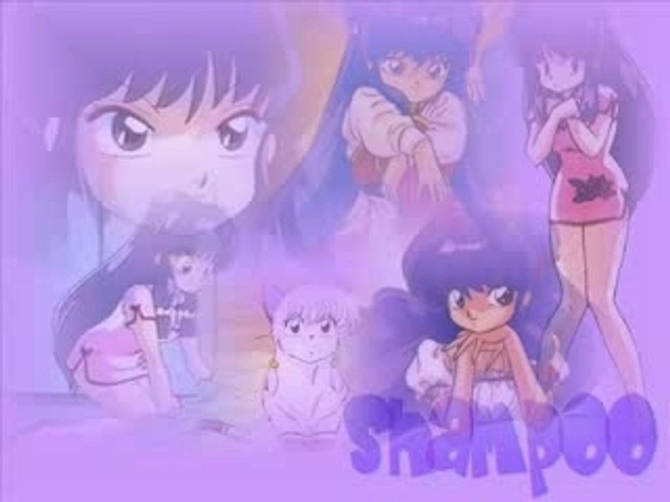 Shampoo - Wo De Airen