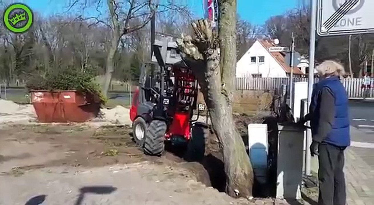Cutting tree fail