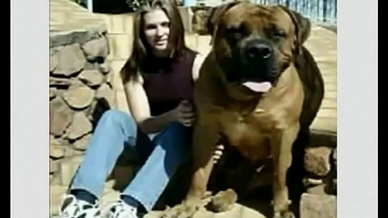 3ajaib wa gharaib 2015 عجائب وغرائب - biggest animals in the world unbelievable Real or fake ?